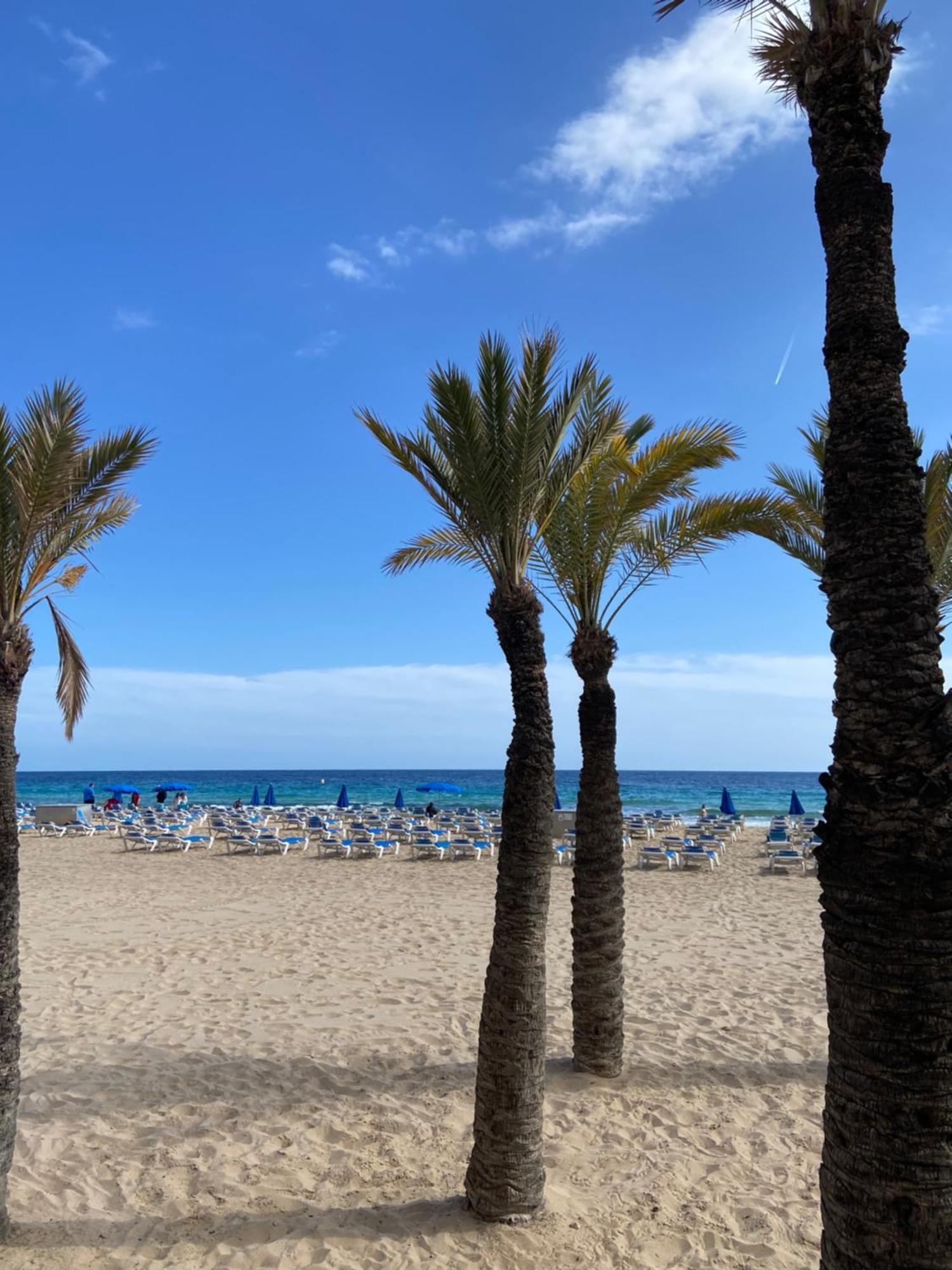 Levante Carlos V 1B Benidorm Buitenkant foto